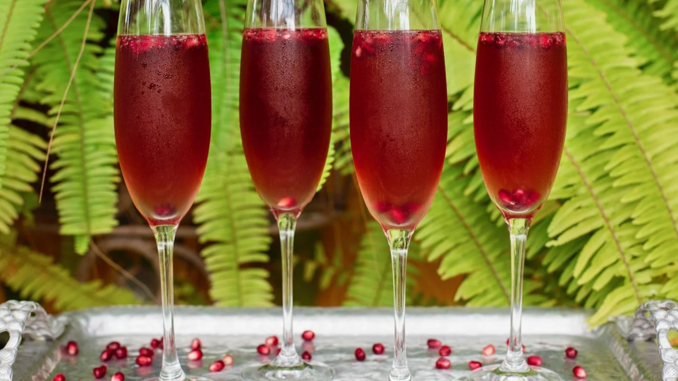 Sparkling Pomegranate Cocktail